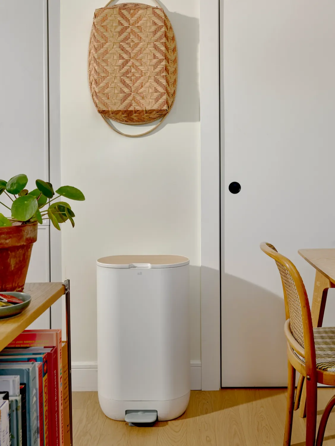 How This Sleek Kitchen Gadget Helped Me Divert 400 Pounds of Food Waste From Landfills