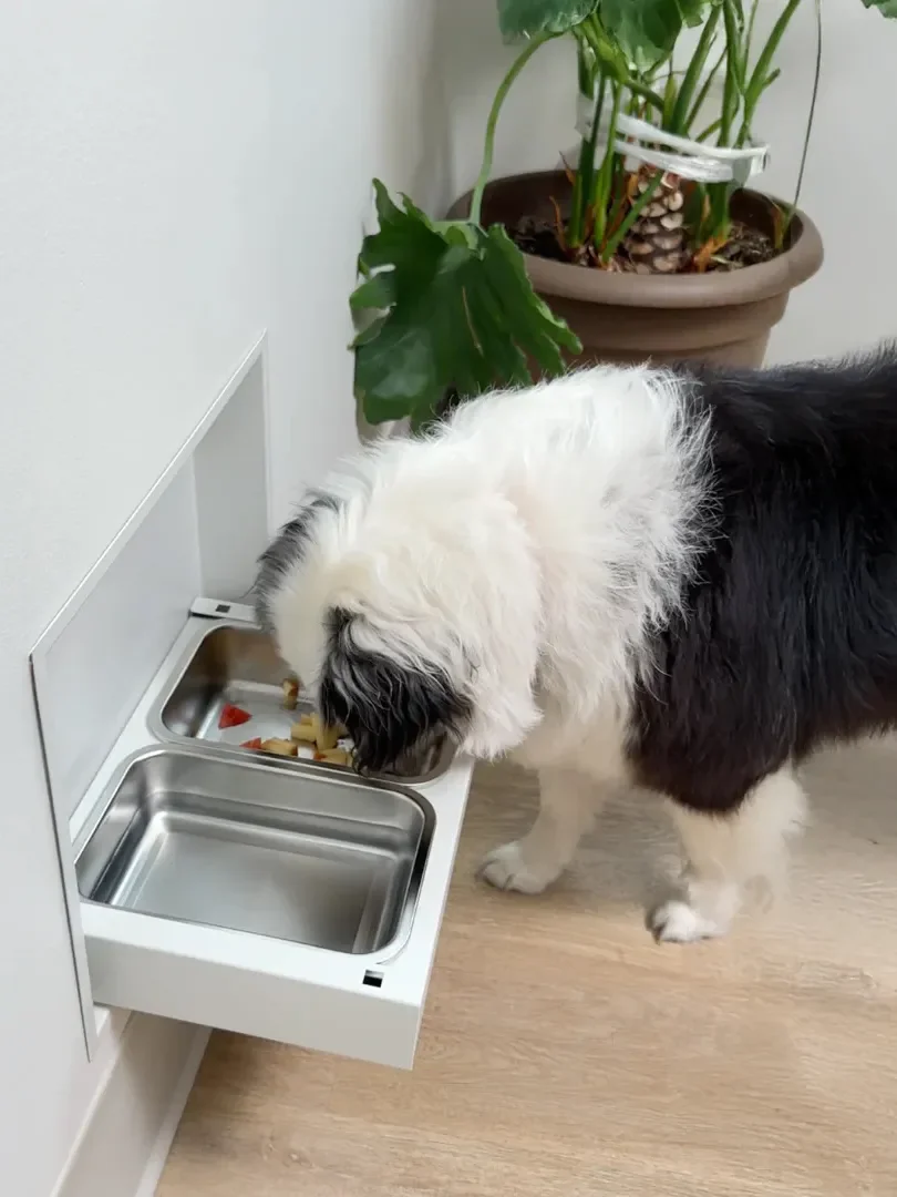 These Built-In Pet Feeding Stations Blend Seamlessly Into the Kitchen