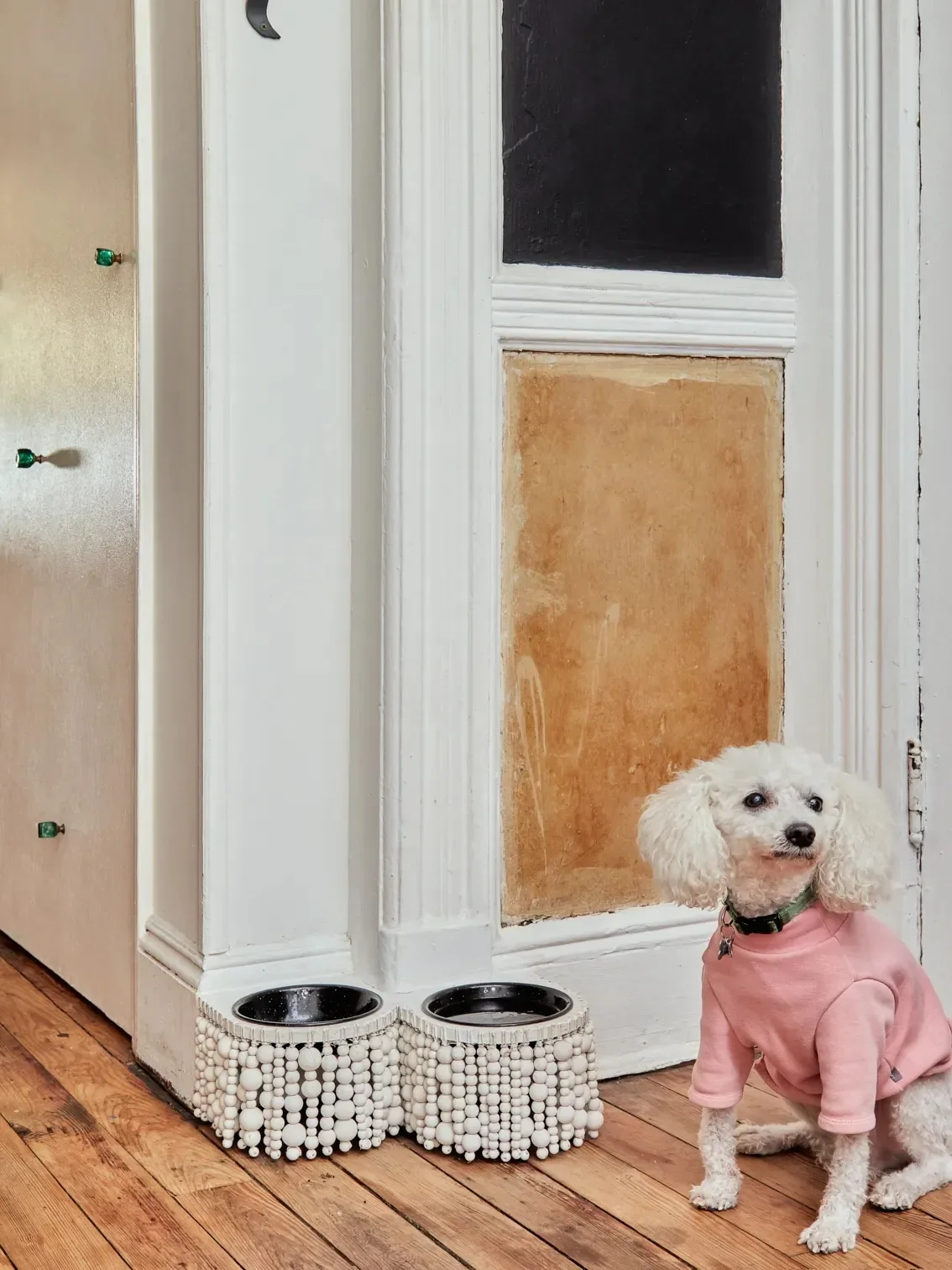 These Built-In Pet Feeding Stations Blend Seamlessly Into the Kitchen
